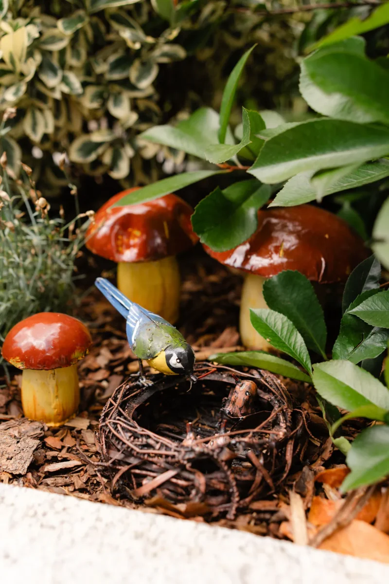 Colț amenajat în curte, cu un cuib decorativ și figurine de ciuperci, pentru observarea naturii, la Grădinița Amicus Junior din Iași