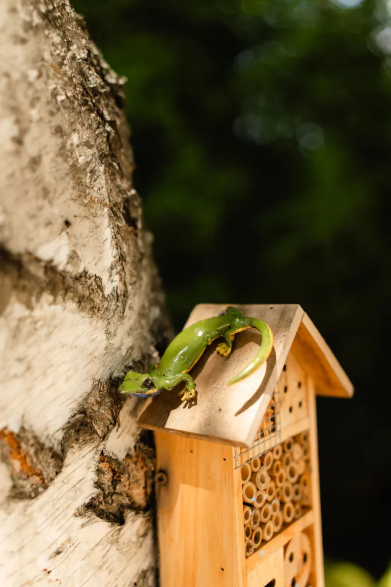 Hotel de insecte din lemn, fixat pe trunchiul unui copac din curtea Grădiniței Amicus Junior din Iași